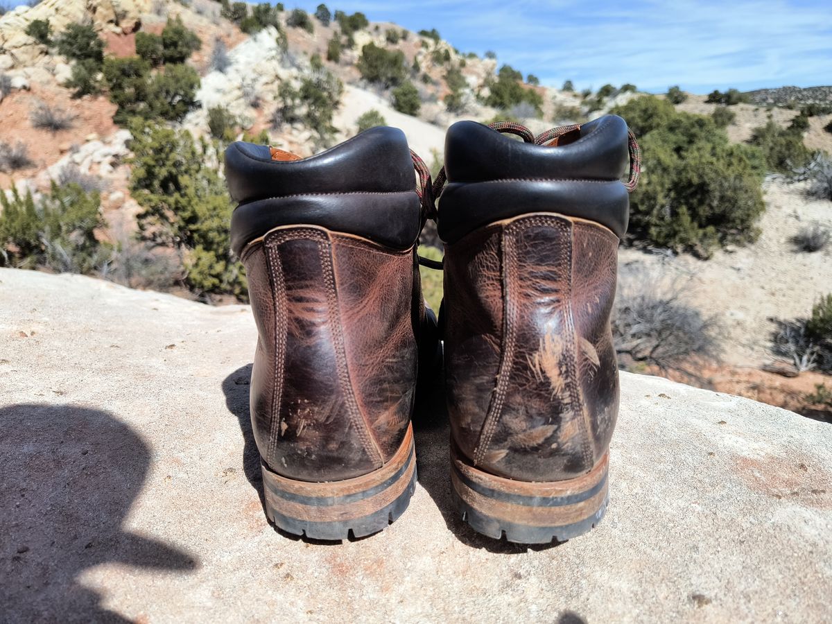 Photo by ArchieGoodyear on March 1, 2026 of the Viberg Pachena Bay in Horween Rowdy Dachshund.