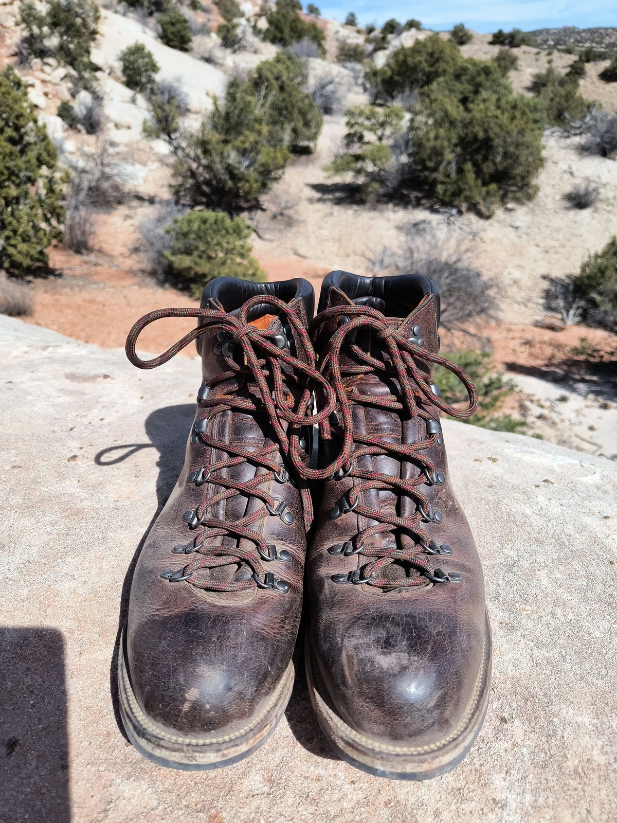 Photo by ArchieGoodyear on March 1, 2026 of the Viberg Pachena Bay in Horween Rowdy Dachshund.