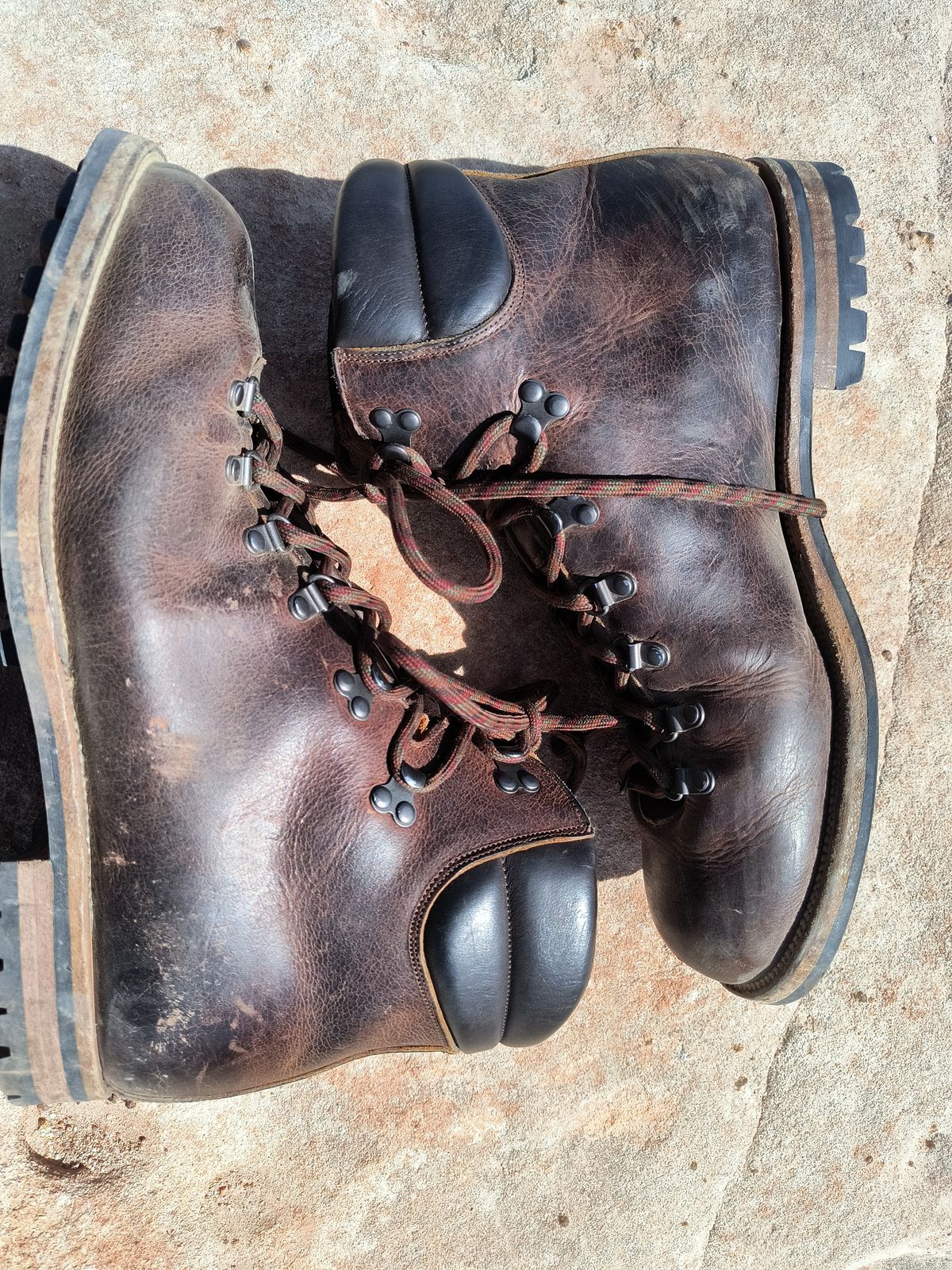 Photo by ArchieGoodyear on March 1, 2026 of the Viberg Pachena Bay in Horween Rowdy Dachshund.