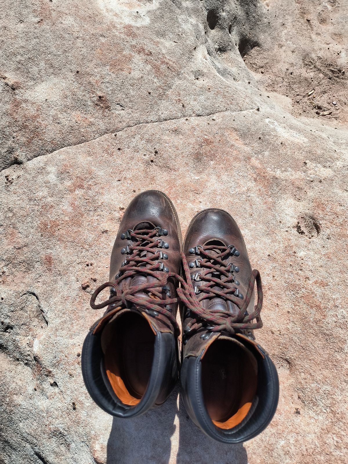 Photo by ArchieGoodyear on March 1, 2026 of the Viberg Pachena Bay in Horween Rowdy Dachshund.