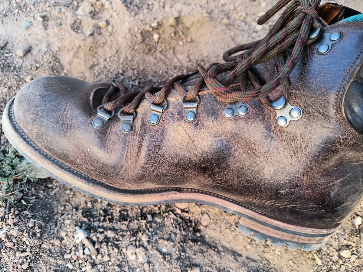 Photo by ArchieGoodyear on March 8, 2026 of the Viberg Pachena Bay in Horween Rowdy Dachshund.