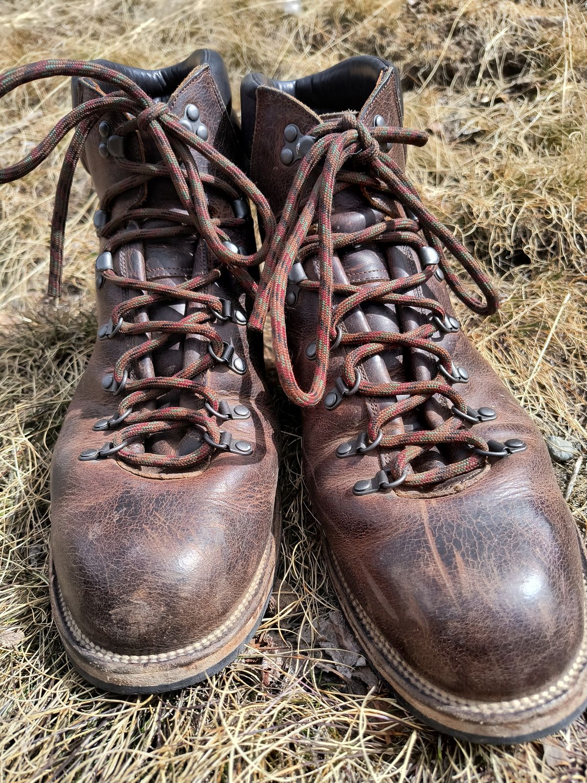 Photo by ArchieGoodyear on March 14, 2026 of the Viberg Pachena Bay in Horween Rowdy Dachshund.