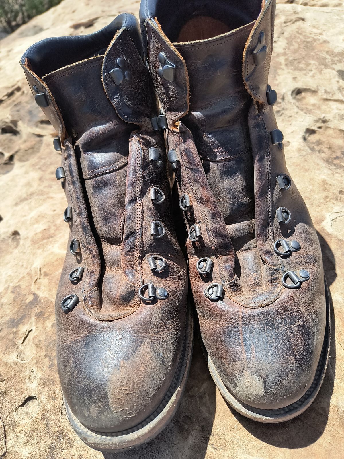 Photo by ArchieGoodyear on April 2, 2026 of the Viberg Pachena Bay in Horween Rowdy Dachshund.