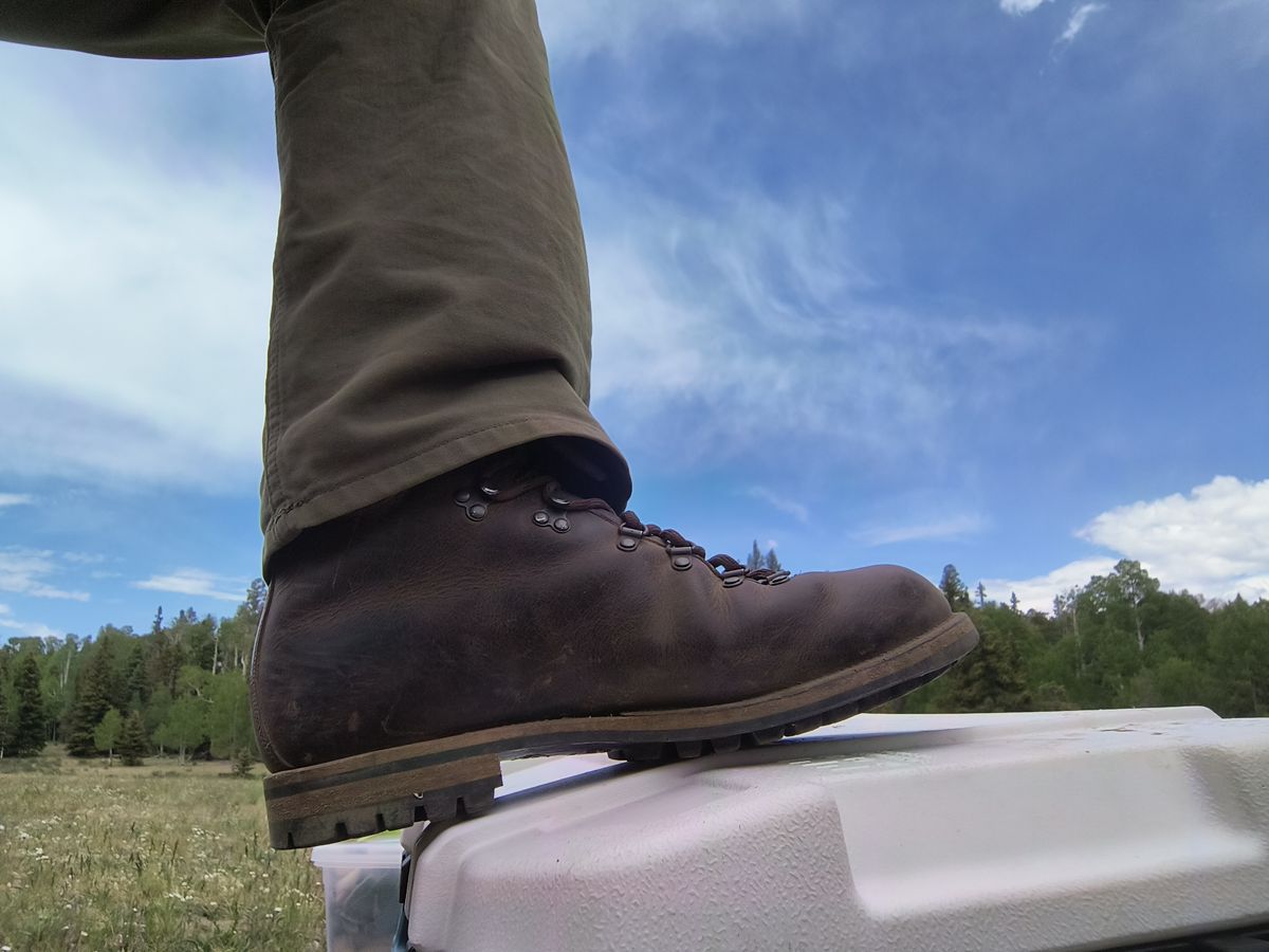 Photo by ArchieGoodyear on June 6, 2026 of the Viberg Pachena Bay in Horween Rowdy Dachshund.