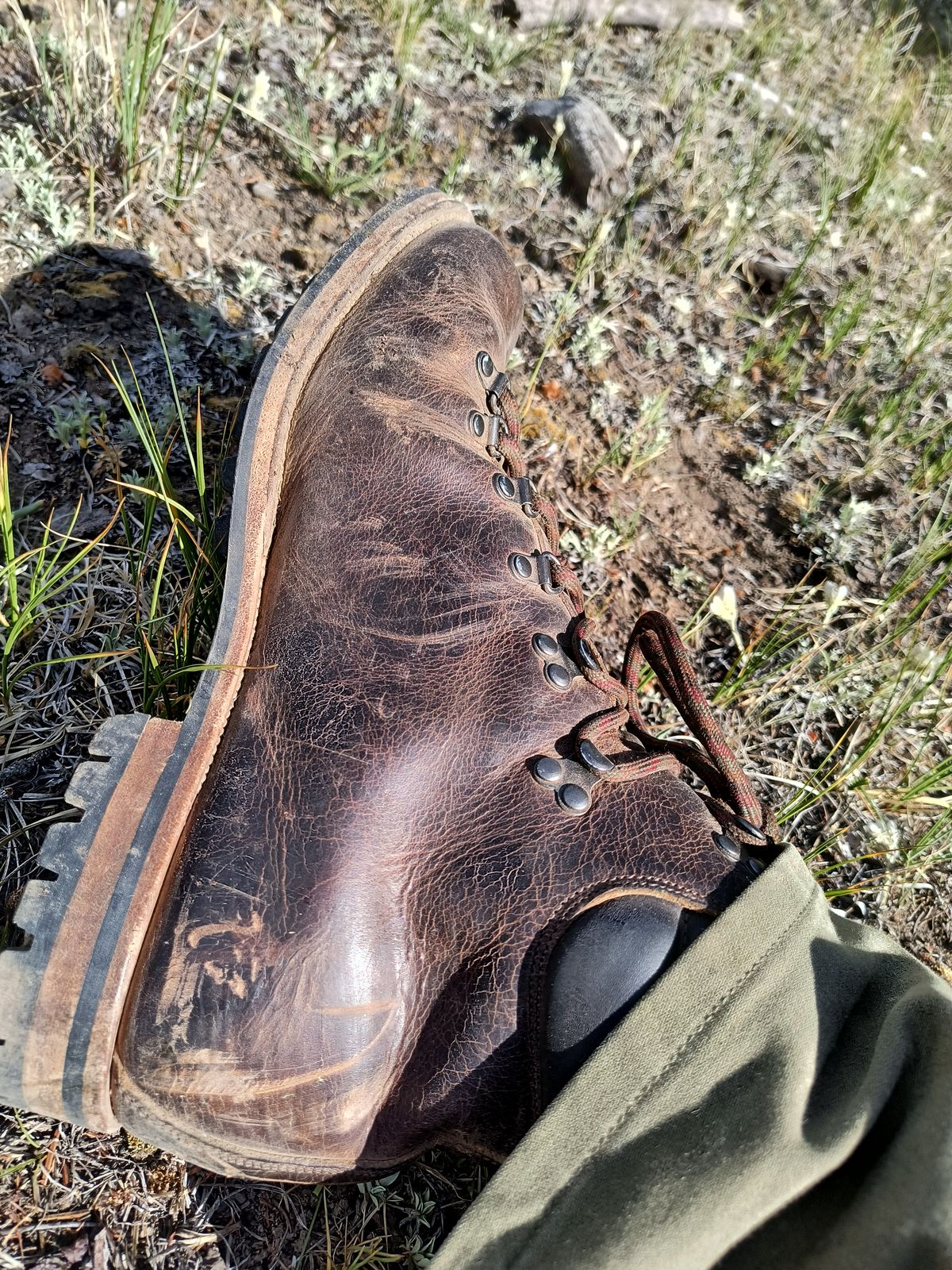 Photo by ArchieGoodyear on June 6, 2026 of the Viberg Pachena Bay in Horween Rowdy Dachshund.