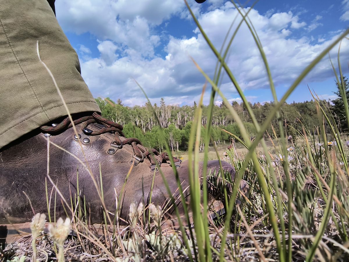 Photo by ArchieGoodyear on June 6, 2026 of the Viberg Pachena Bay in Horween Rowdy Dachshund.