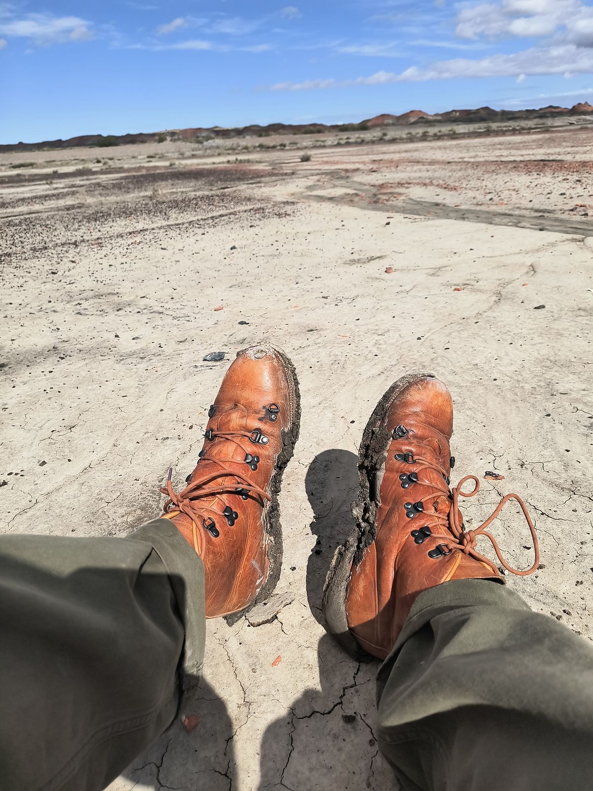 Photo by ArchieGoodyear on October 12, 2025 of the Viberg Hiker in Horween Natural Dublin.