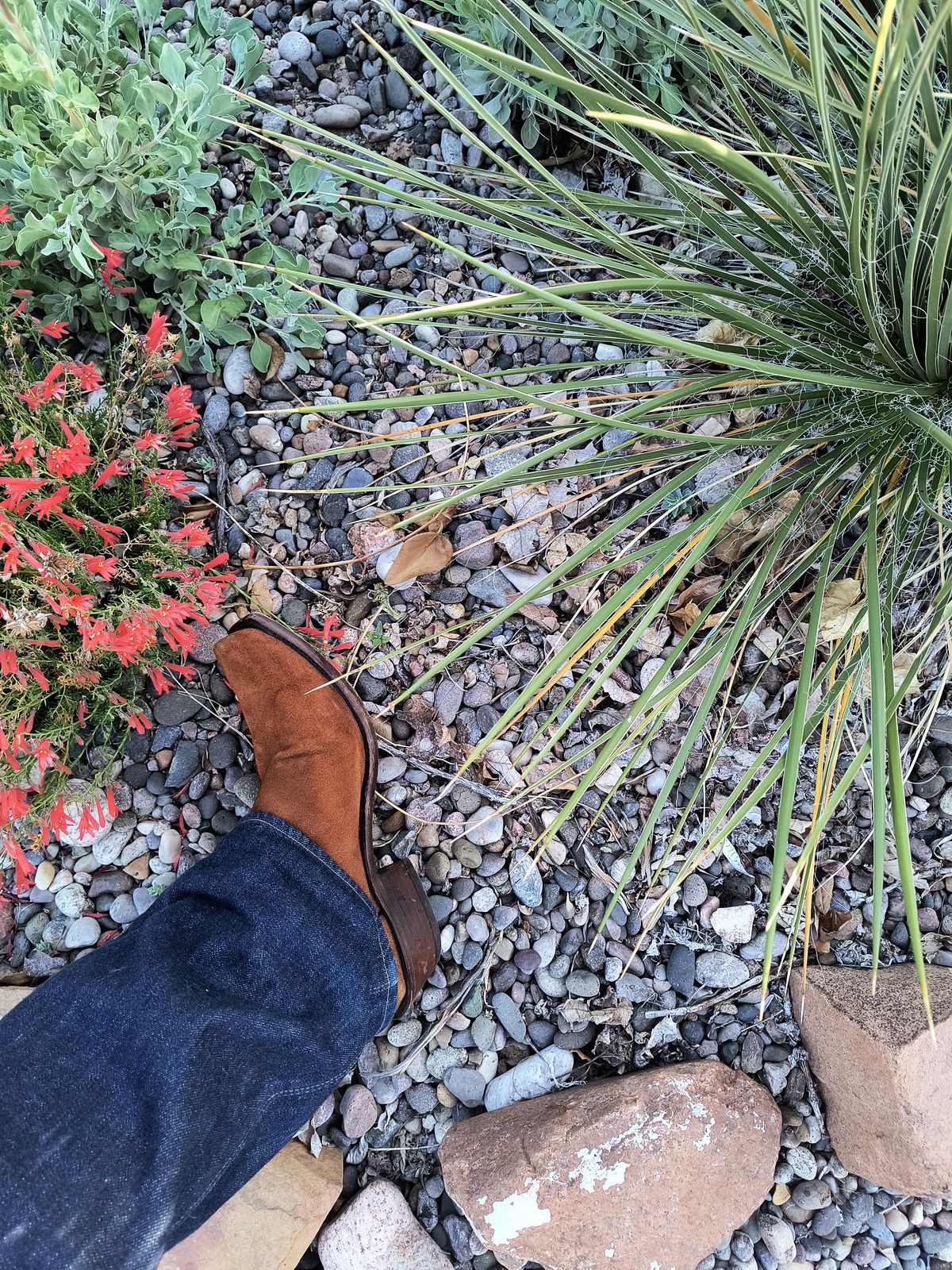 Photo by ArchieGoodyear on May 24, 2024 of the Lucchese Livingston N1700 in Lucchese Frontier Suede.