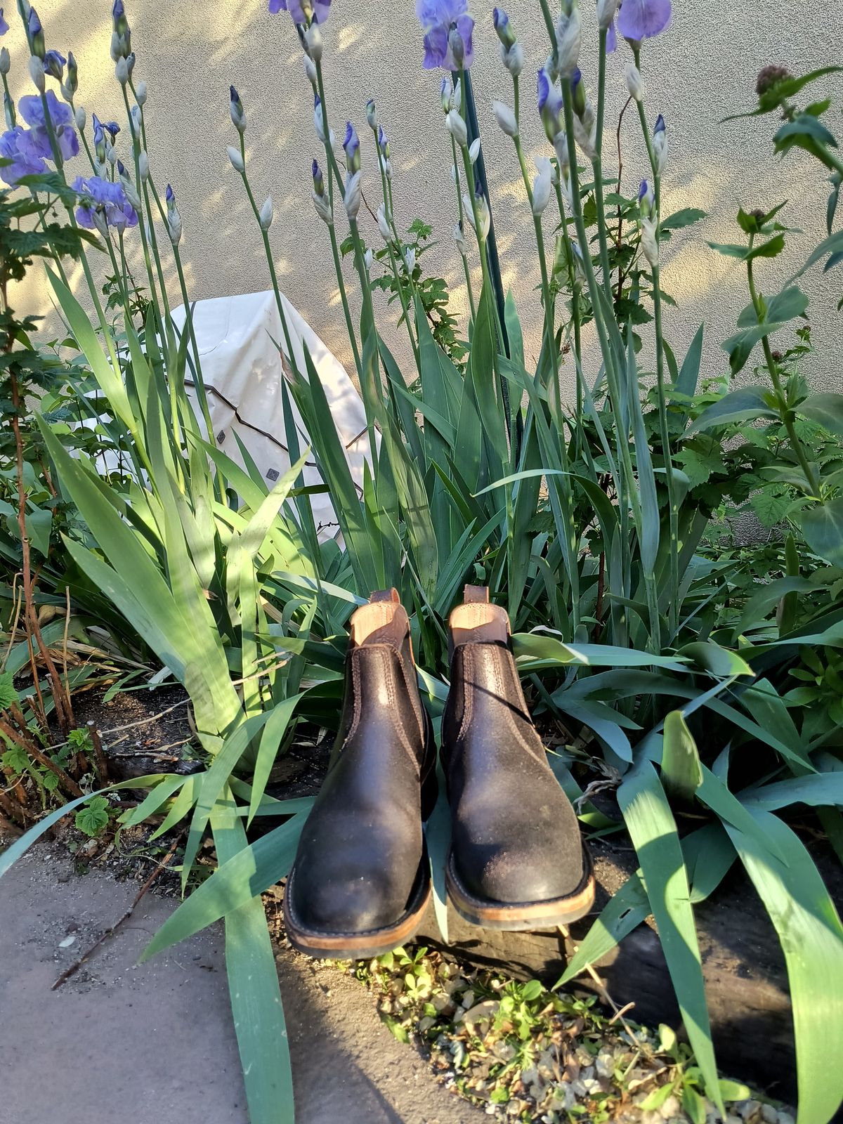 Photo by ArchieGoodyear on April 29, 2026 of the White's White's/C-350 Chelsea in Horween Black Waxed Flesh.