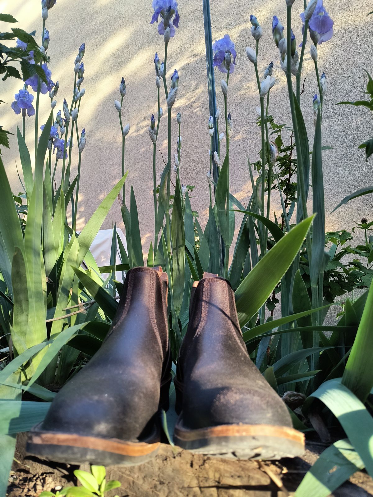 Photo by ArchieGoodyear on April 29, 2026 of the White's White's/C-350 Chelsea in Horween Black Waxed Flesh.