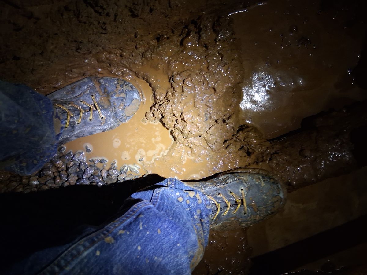 Photo by erikesterikoferiks on October 7, 2025 of the Danner Quarry in Black Full Grain.
