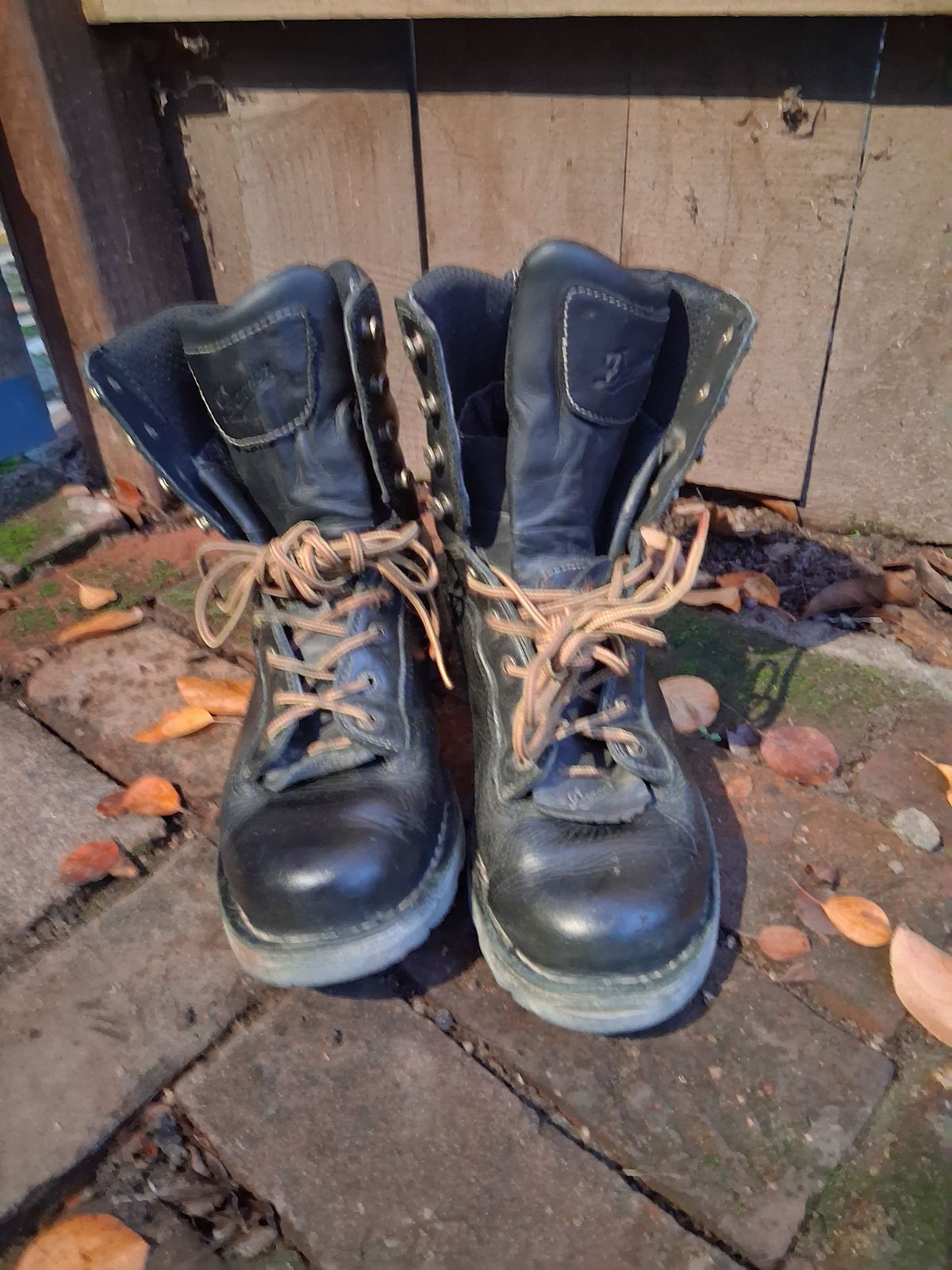 Photo by erikesterikoferiks on December 6, 2025 of the Danner Quarry in Black Full Grain.