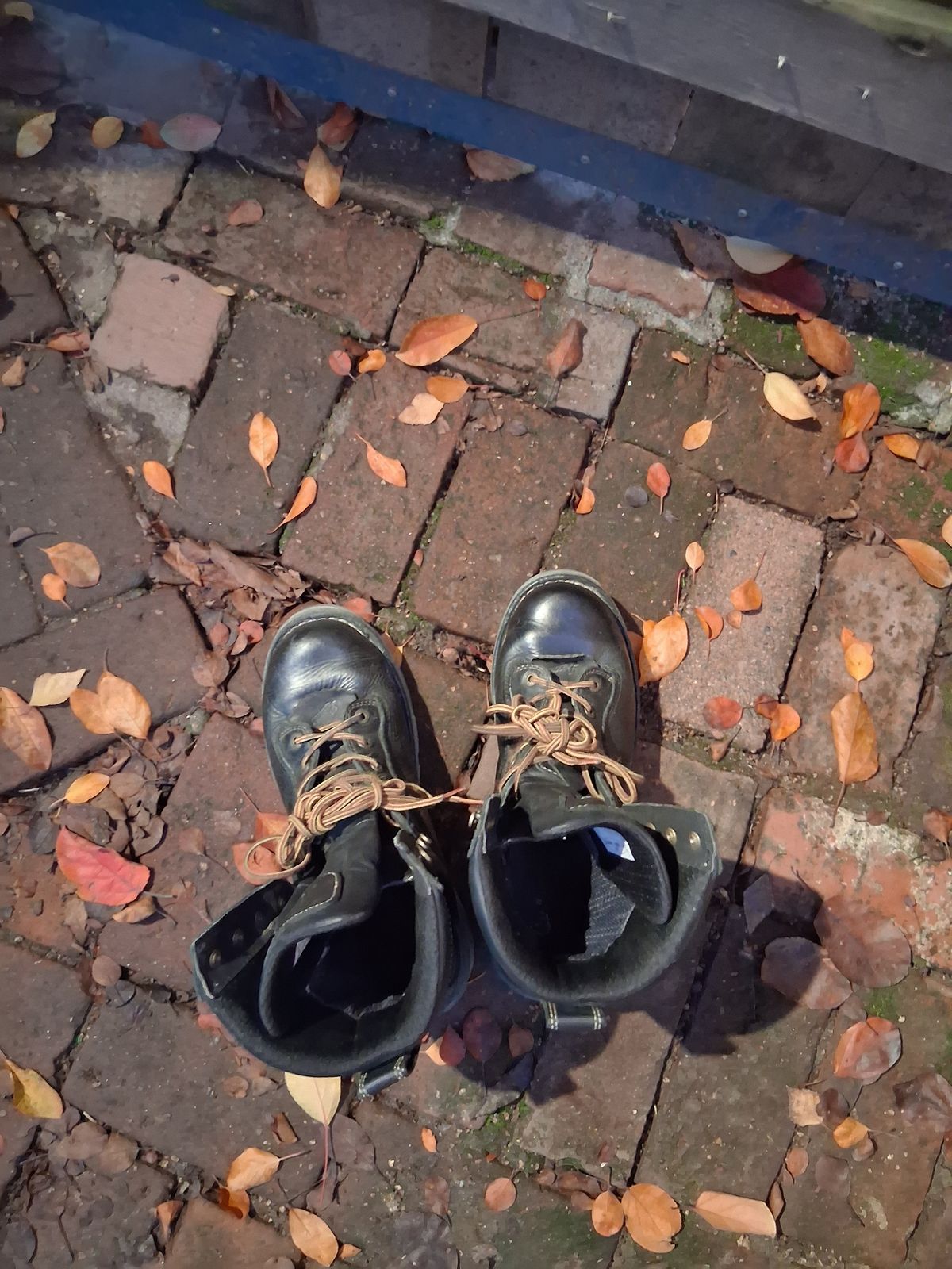 Photo by erikesterikoferiks on December 6, 2025 of the Danner Quarry in Black Full Grain.
