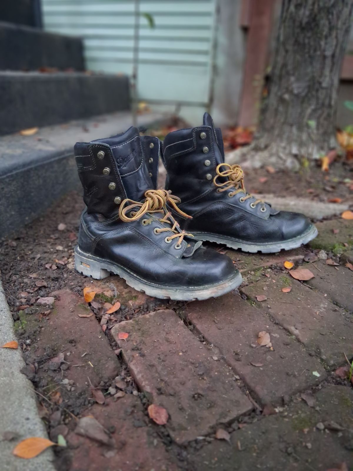 Photo by erikesterikoferiks on December 6, 2025 of the Danner Quarry in Black Full Grain.