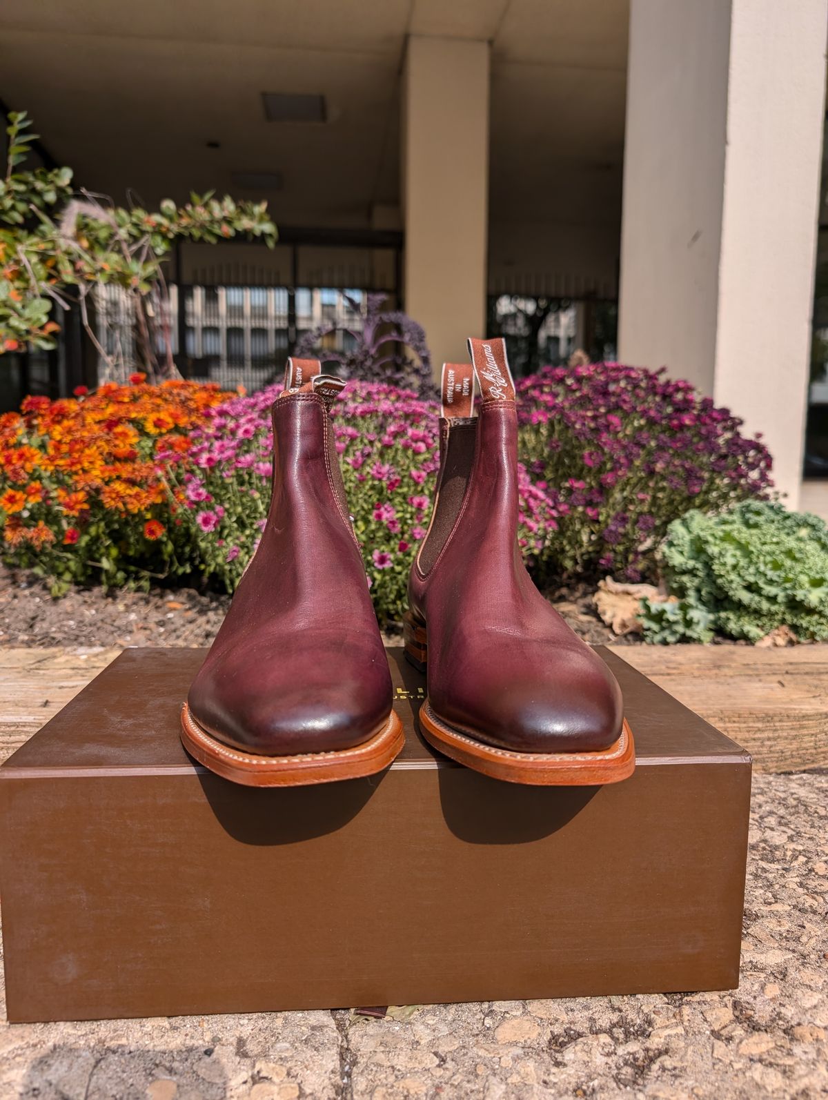 Photo by Octopodia on October 12, 2024 of the R.M. Williams Chinchilla in Burnished Crust Leather.