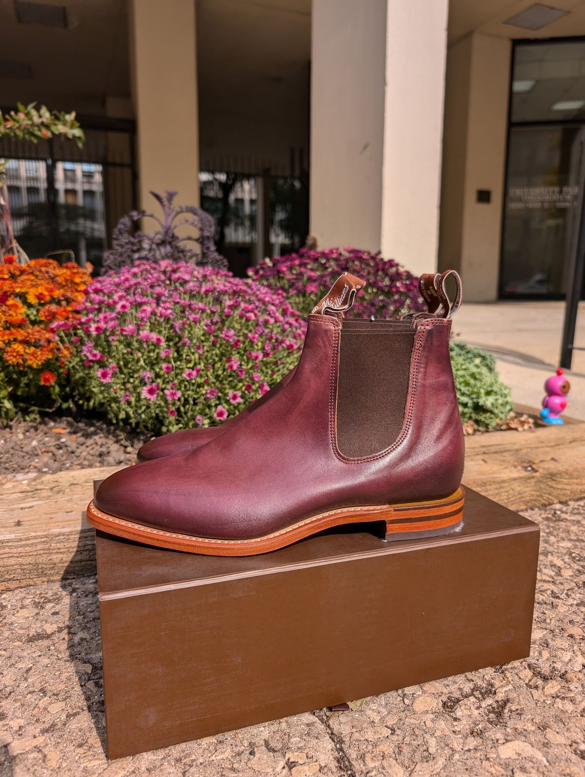 Photo by Octopodia on October 12, 2024 of the R.M. Williams Chinchilla in Burnished Crust Leather.