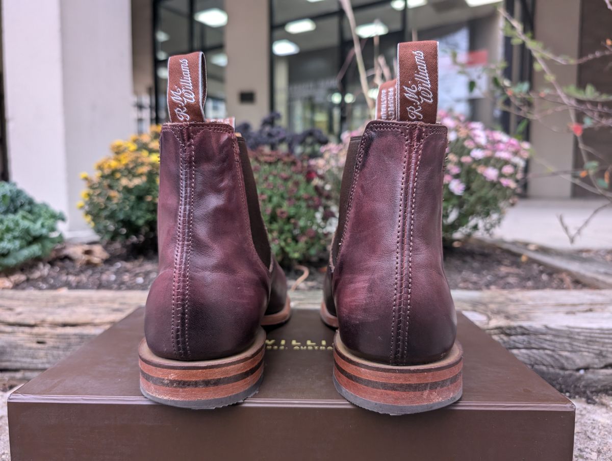 Photo by Octopodia on November 3, 2024 of the R.M. Williams Chinchilla in Burnished Crust Leather.