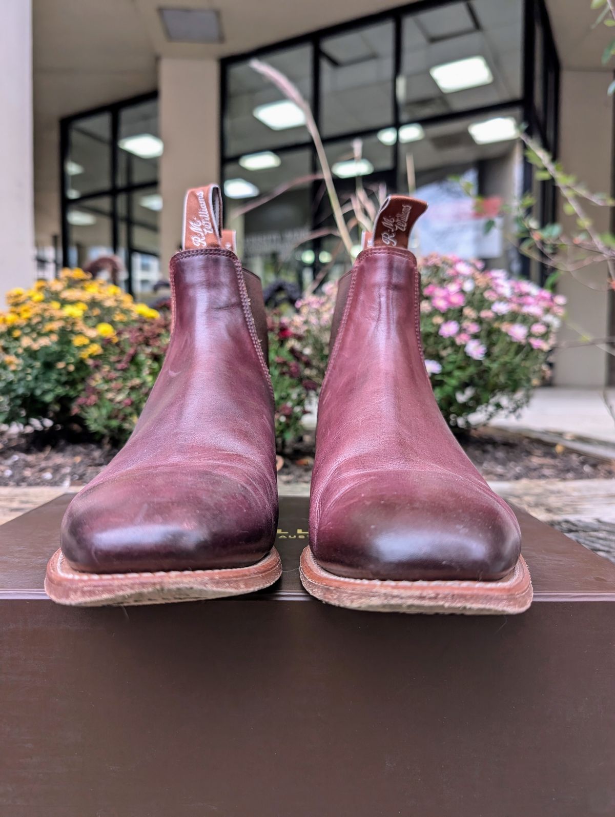 Photo by Octopodia on November 3, 2024 of the R.M. Williams Chinchilla in Burnished Crust Leather.