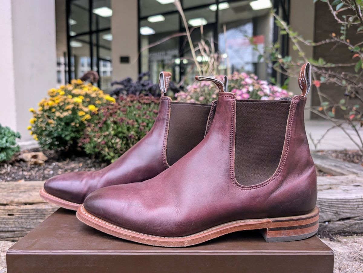 Photo by Octopodia on November 3, 2024 of the R.M. Williams Chinchilla in Burnished Crust Leather.