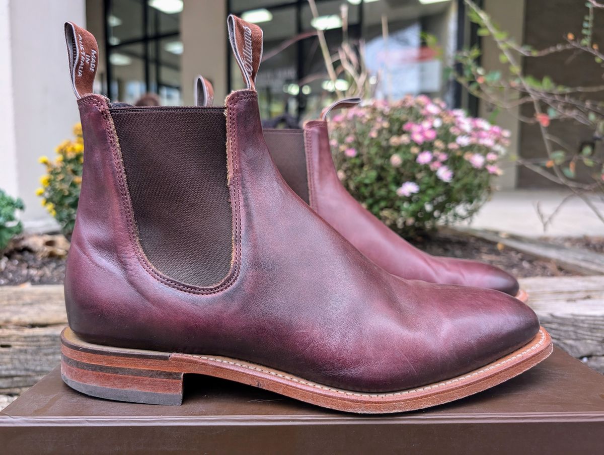 Photo by Octopodia on November 3, 2024 of the R.M. Williams Chinchilla in Burnished Crust Leather.
