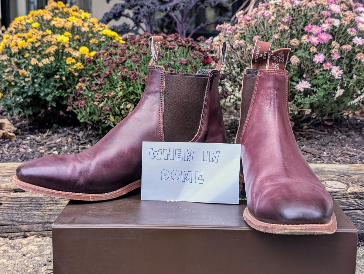 Photo by Octopodia on November 3, 2024 of the R.M. Williams Chinchilla in Burnished Crust Leather.