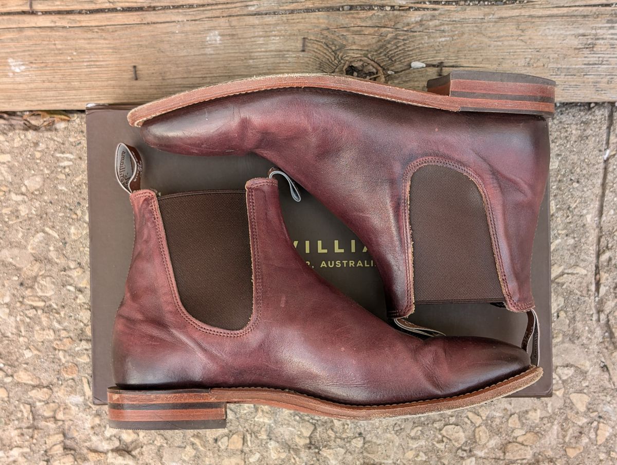 Photo by Octopodia on December 6, 2024 of the R.M. Williams Chinchilla in Burnished Crust Leather.