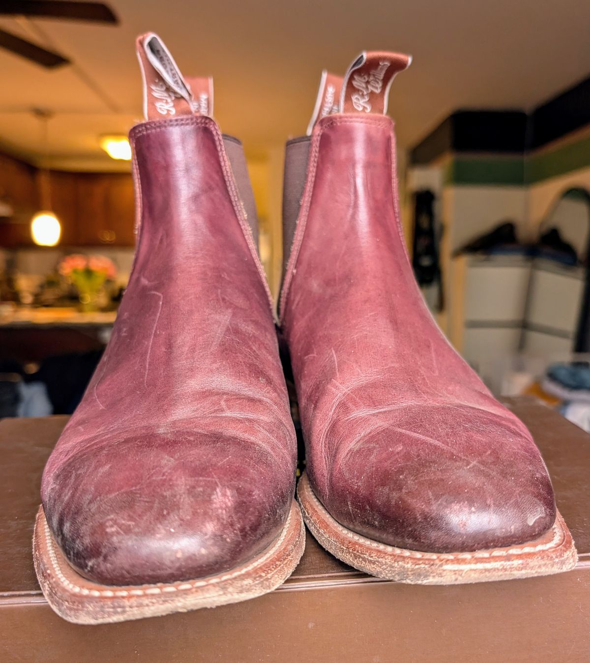 Photo by Octopodia on January 5, 2025 of the R.M. Williams Chinchilla in Burnished Crust Leather.