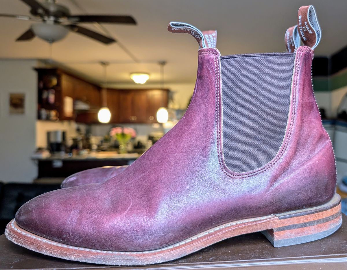 Photo by Octopodia on January 5, 2025 of the R.M. Williams Chinchilla in Burnished Crust Leather.