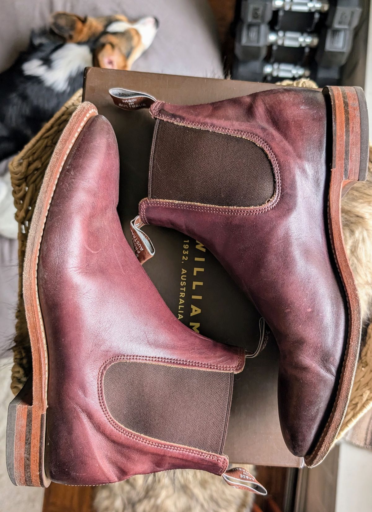 Photo by Octopodia on January 5, 2025 of the R.M. Williams Chinchilla in Burnished Crust Leather.