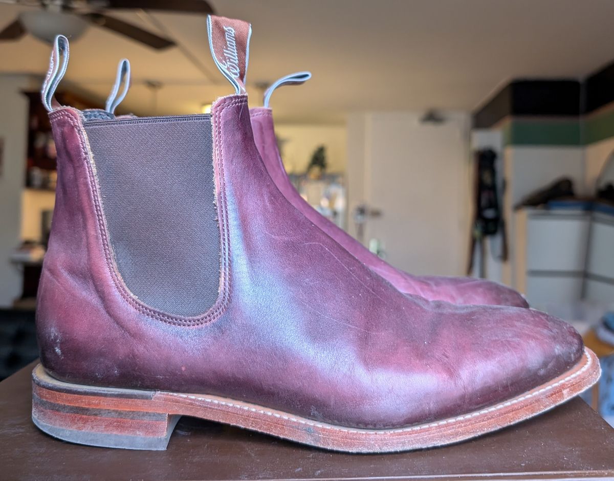 Photo by Octopodia on January 5, 2025 of the R.M. Williams Chinchilla in Burnished Crust Leather.