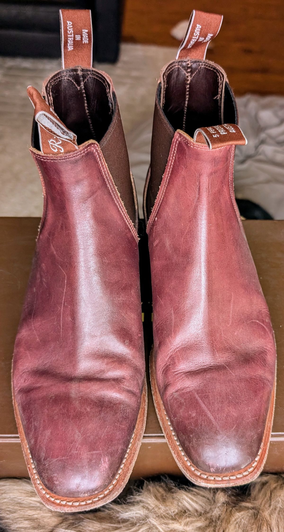 Photo by Octopodia on January 5, 2025 of the R.M. Williams Chinchilla in Burnished Crust Leather.