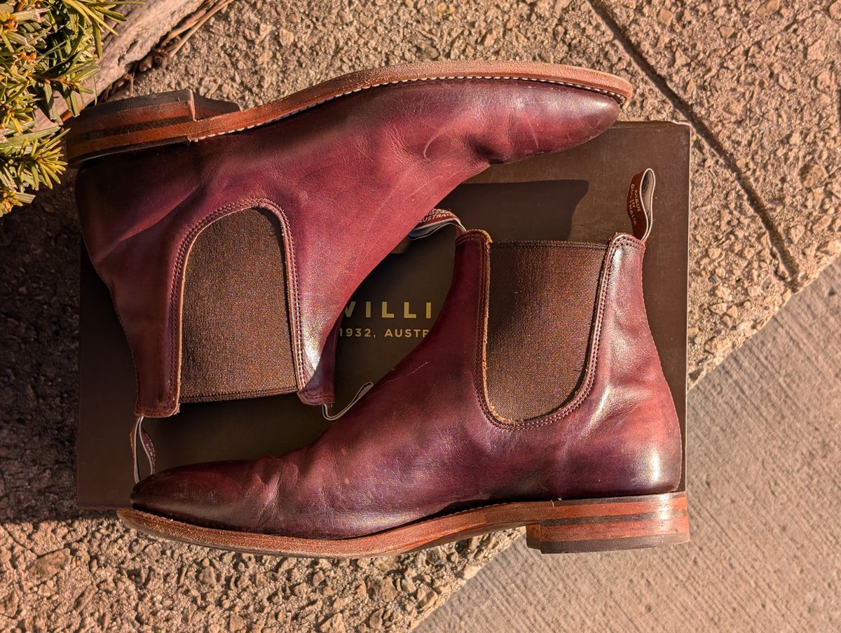 Photo by Octopodia on February 4, 2025 of the R.M. Williams Chinchilla in Burnished Crust Leather.