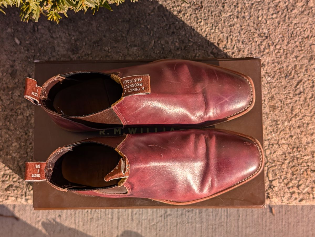 Photo by Octopodia on February 4, 2025 of the R.M. Williams Chinchilla in Burnished Crust Leather.