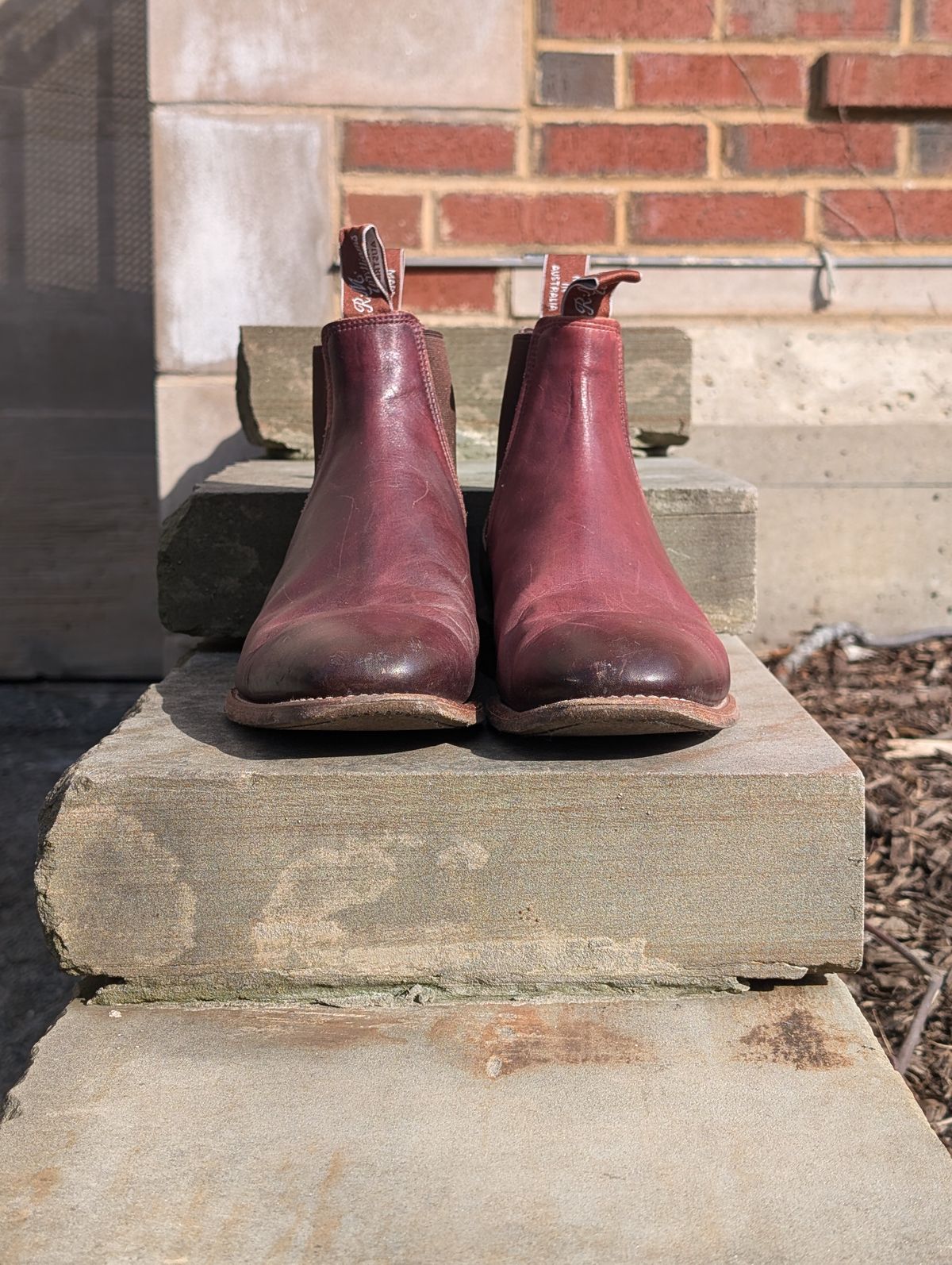 Photo by Octopodia on March 3, 2025 of the R.M. Williams Chinchilla in Burnished Crust Leather.