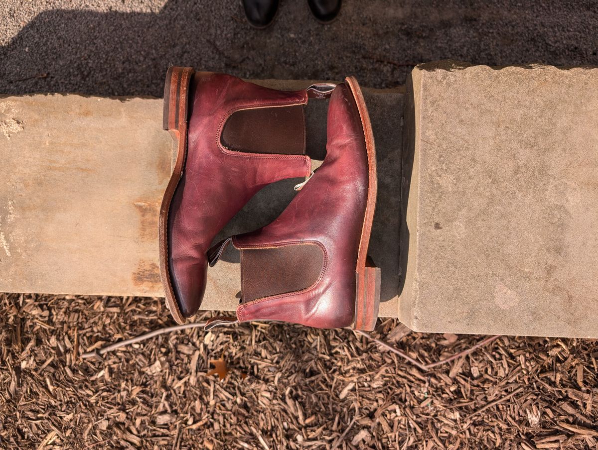 Photo by Octopodia on March 3, 2025 of the R.M. Williams Chinchilla in Burnished Crust Leather.