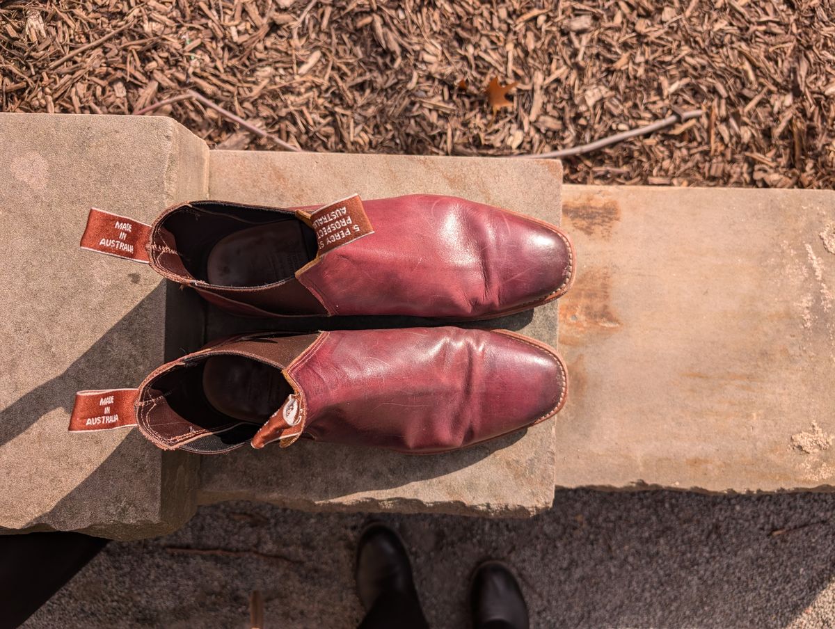 Photo by Octopodia on March 3, 2025 of the R.M. Williams Chinchilla in Burnished Crust Leather.