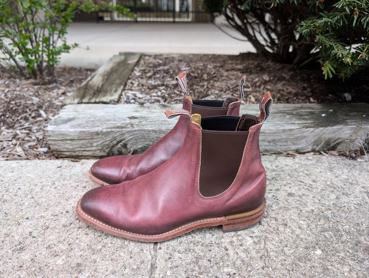 Photo by Octopodia on April 5, 2025 of the R.M. Williams Chinchilla in Burnished Crust Leather.