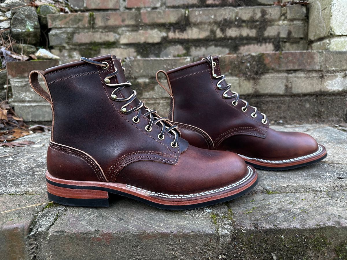Photo by RUNNOFT on February 14, 2025 of the Nicks Falcon in Italian Brown Cypress.