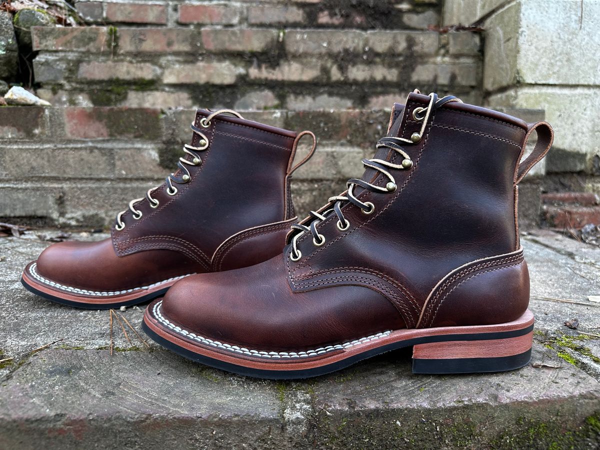 Photo by RUNNOFT on February 14, 2025 of the Nicks Falcon in Italian Brown Cypress.
