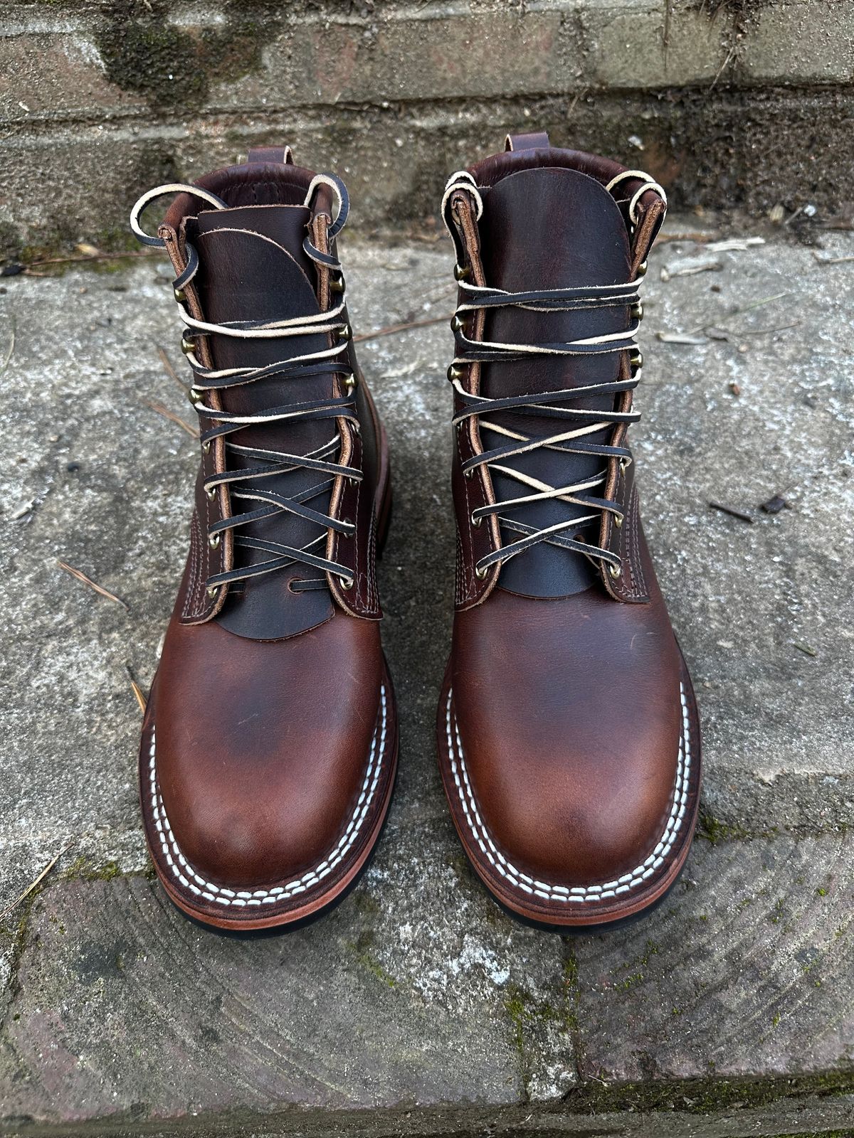 Photo by RUNNOFT on February 14, 2025 of the Nicks Falcon in Italian Brown Cypress.