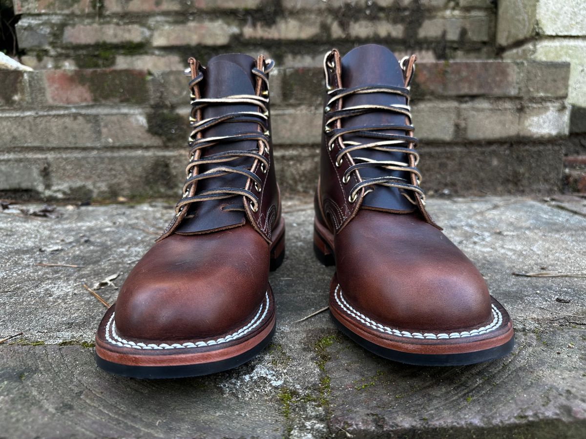 Photo by RUNNOFT on February 14, 2025 of the Nicks Falcon in Italian Brown Cypress.