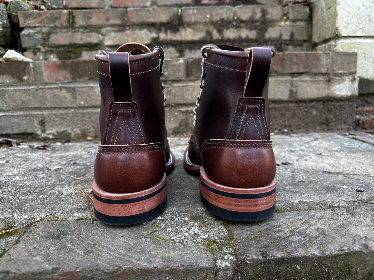 Photo by RUNNOFT on February 14, 2025 of the Nicks Falcon in Italian Brown Cypress.