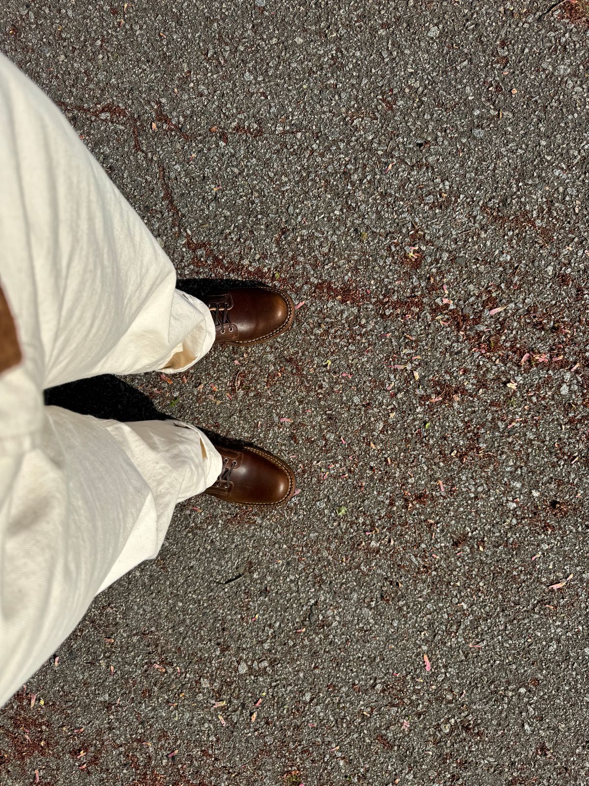 Photo by Efanium on May 12, 2026 of the White's 350 Cruiser in Horween Cinnamon Waxed Flesh.