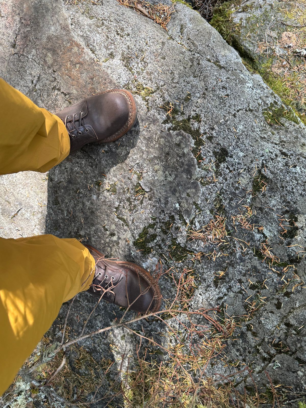 Photo by Efanium on July 4, 2026 of the White's Semi-Dress in Horween Dark Brown Waxed Flesh.