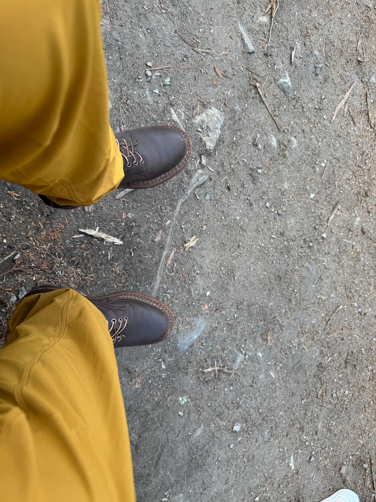 Photo by Efanium on July 5, 2026 of the White's Semi-Dress in Horween Dark Brown Waxed Flesh.