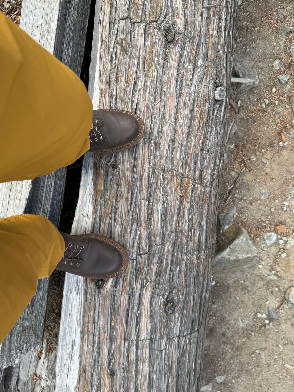 Photo by Efanium on July 4, 2026 of the White's Semi-Dress in Horween Dark Brown Waxed Flesh.