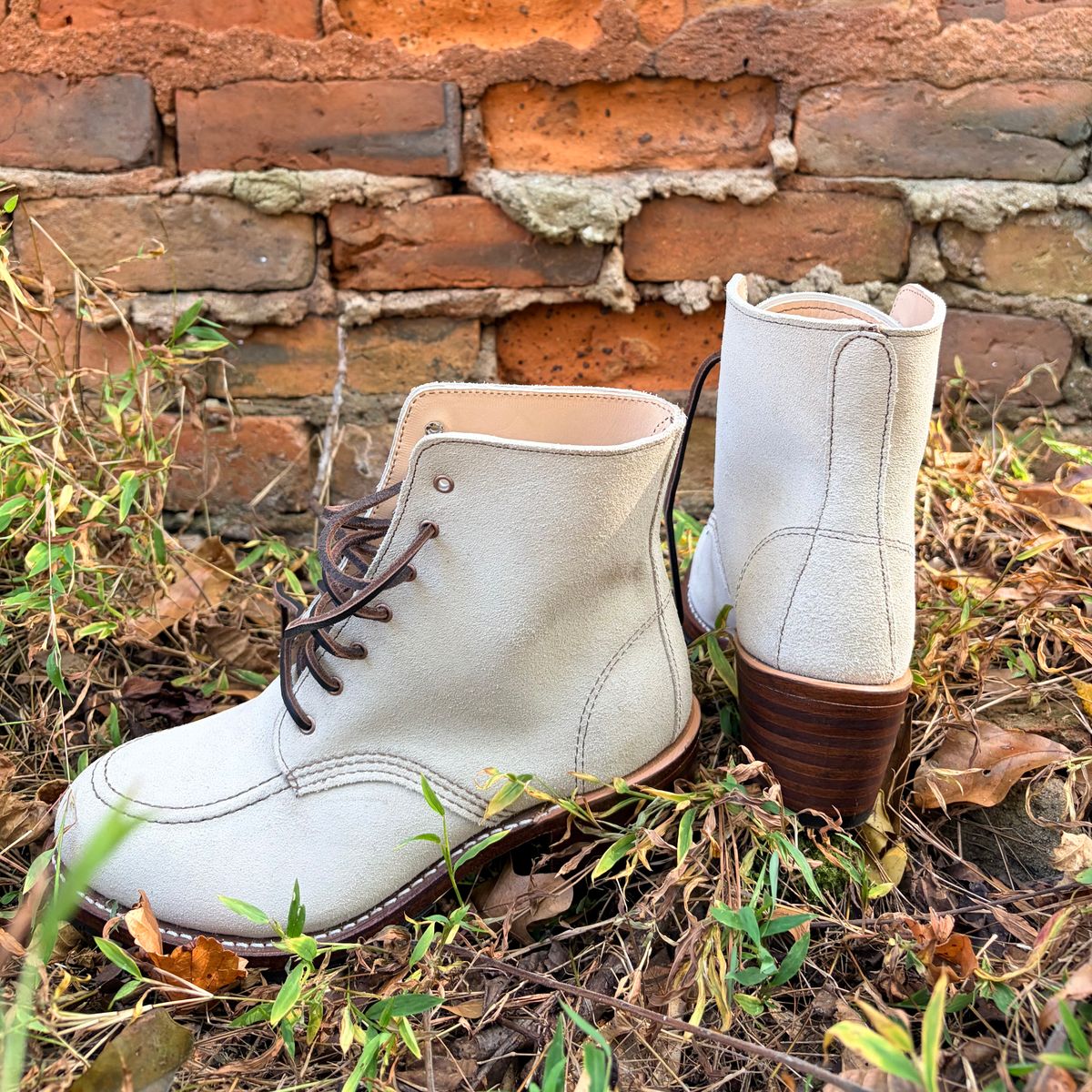 Photo by rosieteacher on October 18, 2025 of the Red Wing Clara in White Sand Mohave.