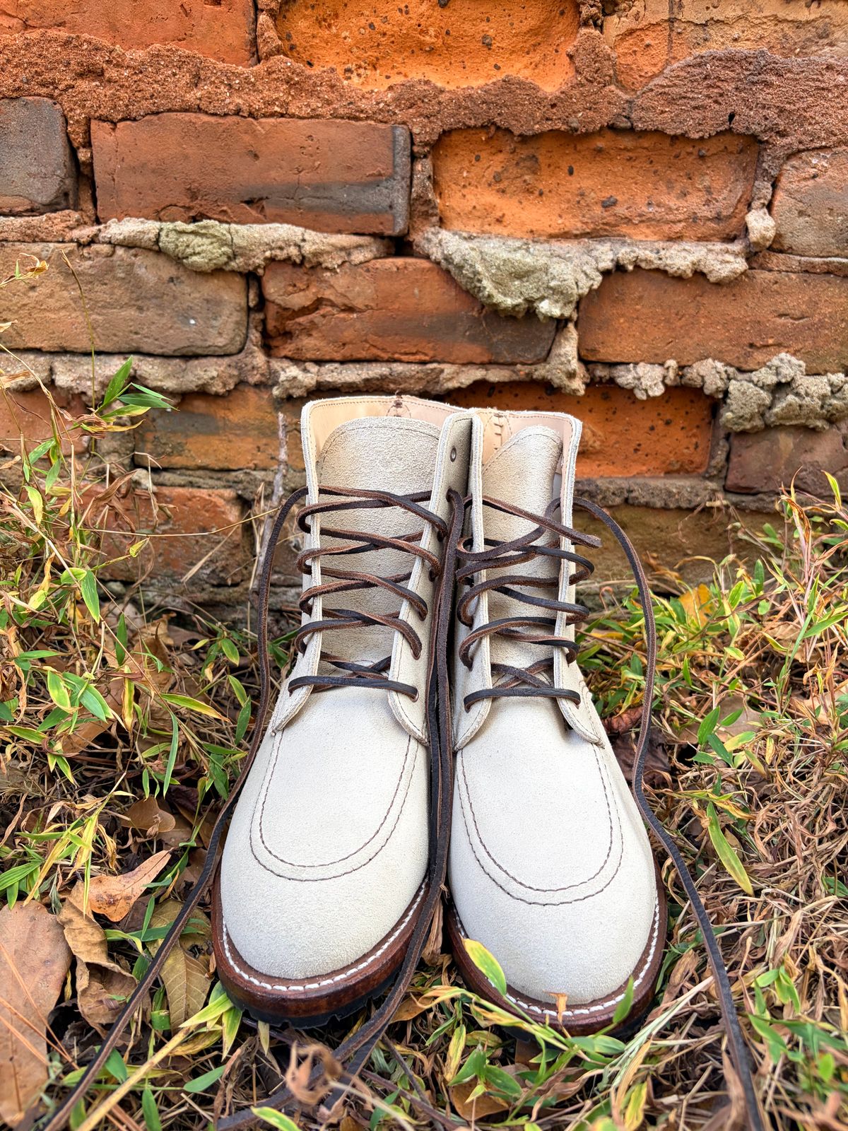 Photo by rosieteacher on October 18, 2025 of the Red Wing Clara in White Sand Mohave.