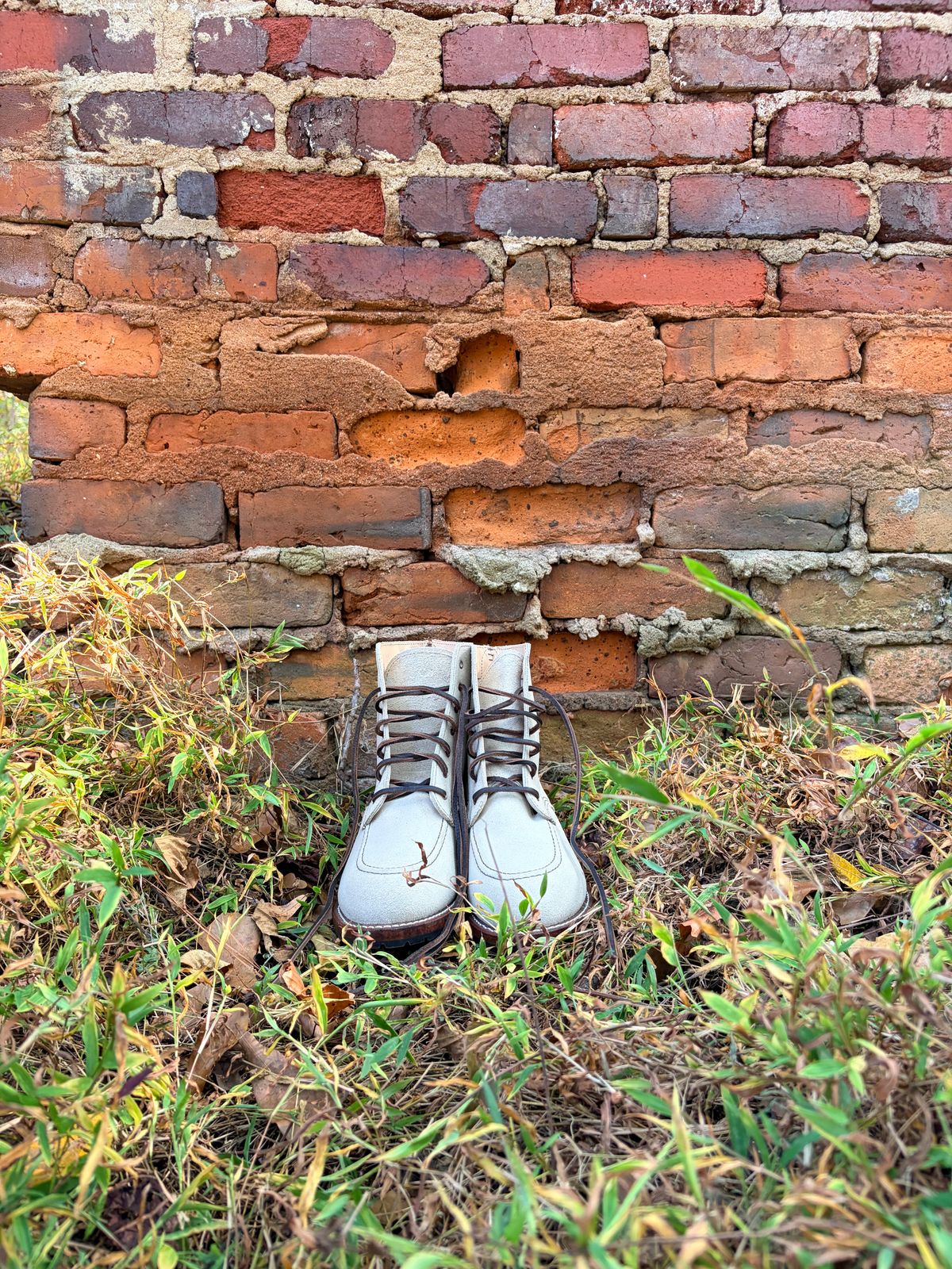 Photo by rosieteacher on October 18, 2025 of the Red Wing Clara in White Sand Mohave.