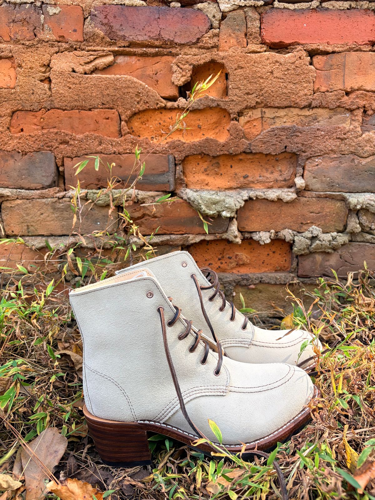 Photo by rosieteacher on October 18, 2025 of the Red Wing Clara in White Sand Mohave.